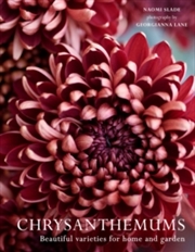 Buy Chrysanthemums