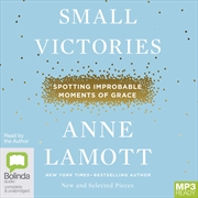 Buy Small Victories Spotting Improbable Moments of Grace