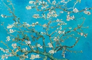 Buy Van Gogh - Almond Blossom - Reg Poster