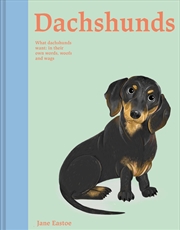 Buy Dachshunds