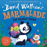 Buy Marmalade The Orange Panda