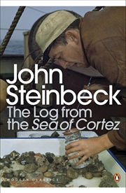 Buy Log From The Sea Of Cortez