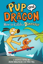 Buy How to Catch Graphic Novels How to Catch a Dinosaur