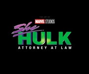 Buy MARVEL STUDIOS' SHE-HULK: ATTORNEY AT LAW - THE ART OF THE SERIES