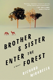 Buy Brother & Sister Enter the Forest: A Novel