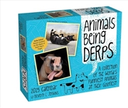 Buy Animals Being Derps 2025 Boxed Calendar