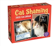 Buy Cat Shaming 2025 Boxed Calendar