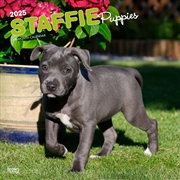 Buy Staffordshire Bull Terrier Puppies 2025 Square Calendar