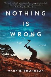 Buy Nothing Is Wrong: A Novel