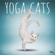 Buy Yoga Cats 2025 Square Calendar