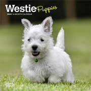 Buy West Highland White Terrier Puppies 2025 Mini Calendar