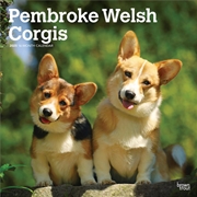 Buy Welsh Corgis, Pembroke 2025 Square Calendar