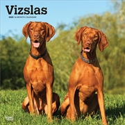 Buy Vizslas 2025 Square Calendar