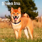 Buy Shiba Inu 2025 Square Calendar