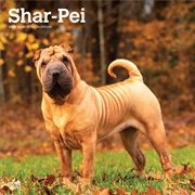 Buy Shar Pei 2025 Square Calendar