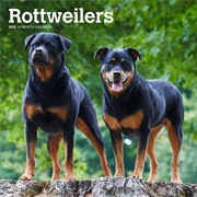 Buy Rottweilers 2025 Square Calendar