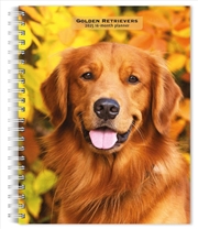 Buy Golden Retrievers 2025 Engagement Calendar