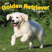 Buy Golden Retriever Puppies 2025 Square Calendar