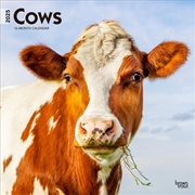 Buy Cows 2025 Square Calendar