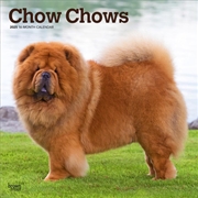 Buy Chow Chows 2025 Square Calendar