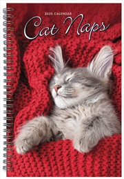 Buy Cat Naps Classic 2025 Engagement Calendar