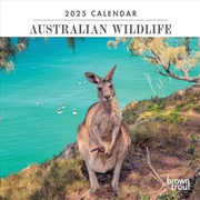 Buy Australian Wildlife 2025 Mini Calendar