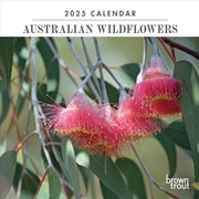 Buy Australian Wildflowers 2025 Mini Calendar