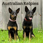 Buy Australian Kelpies 2025 Square Calendar