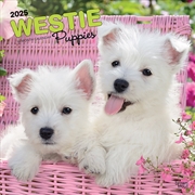 Buy West Highland White Terrier Puppies 2025 Square Calendar