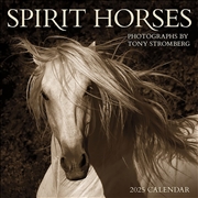 Buy Spirit Horses 2025 Square by Tony Stromberg Calendar