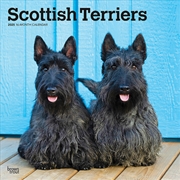 Buy Scottish Terriers 2025 Square Calendar