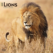 Buy Lions 2025 Square Calendar