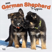 Buy German Shepherd Puppies 2025 Square Calendar