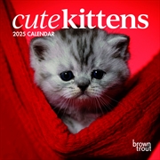 Buy Cute Kittens 2025 Mini Calendar