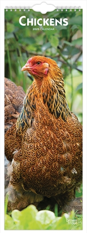 Buy Chickens 2025 Slimline Calendar