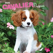 Buy Cavalier King Charles Spaniel Puppies 2025 Square Calendar