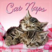 Buy Cat Naps 2025 Square Calendar