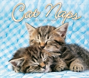 Buy Cat Naps 2025 Boxed Calendar