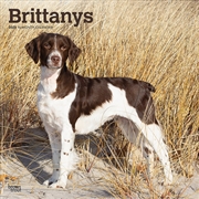 Buy Brittanys 2025 Square Calendar