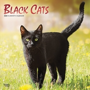 Buy Black Cats 2025 Square FOIL Calendar