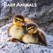 Buy Baby Animals 2025 Square Calendar