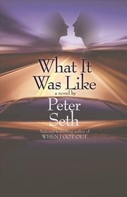 Buy What It Was Like: A Novel of Love and Consequence