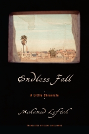 Buy Endless Fall:A Little Chronicle