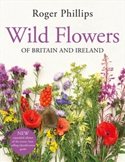 Buy Wild Flowers