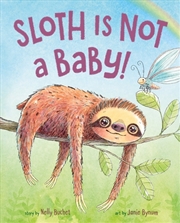 Buy Sloth Is Not a Baby!