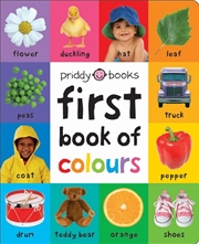 Buy First 100 Soft to Touch First Book of Colours