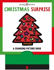 Buy Christmas Surprise - Changing Picture Book