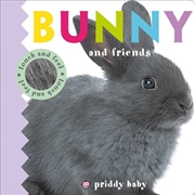 Buy Bunny & Friends Priddy Touch & Feel