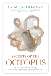 Buy Secrets of the Octopus