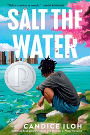 Buy Salt the Water